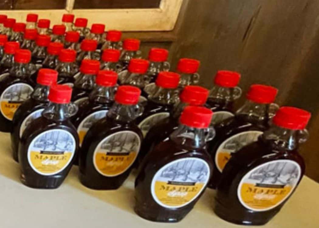 Bronte Creek Provincial Park - Maple Syrup