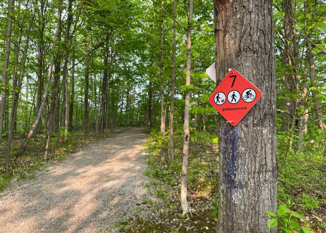 Bronte Creek Provincial Park - Red Trail Blaze on hiking path
