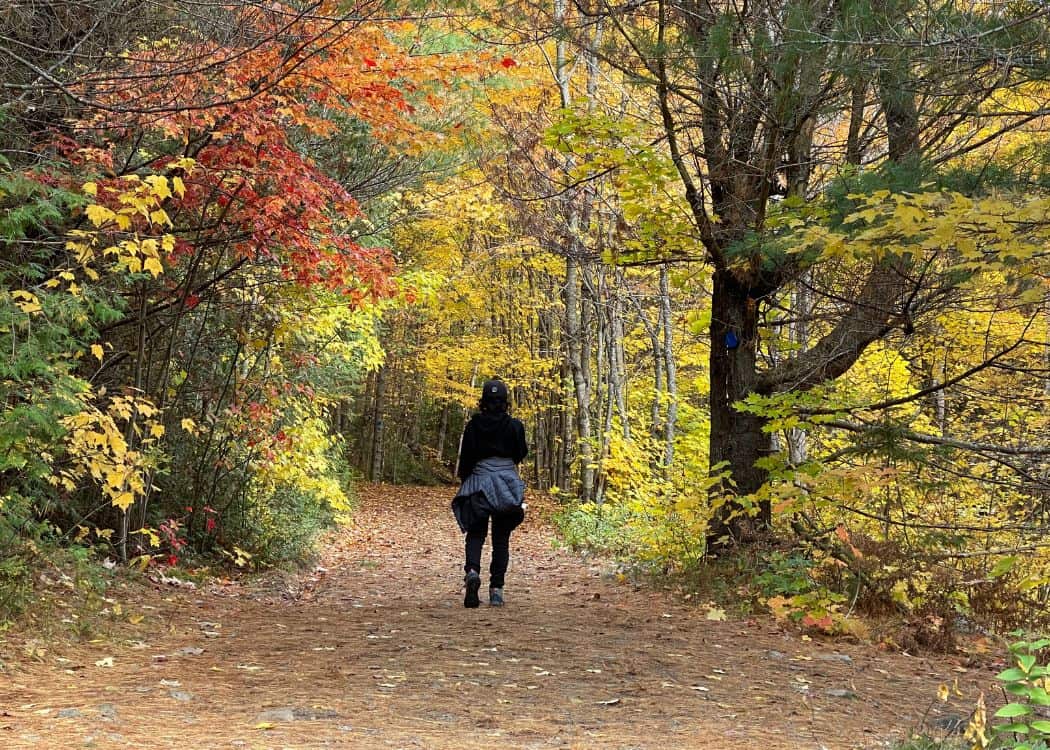 Hiking the Old Bike Trail