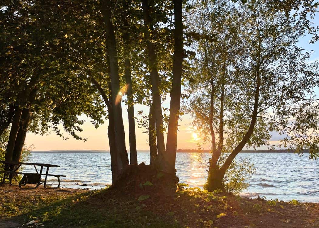 McRae Point Provincial Park - Trees at the beach at sunset