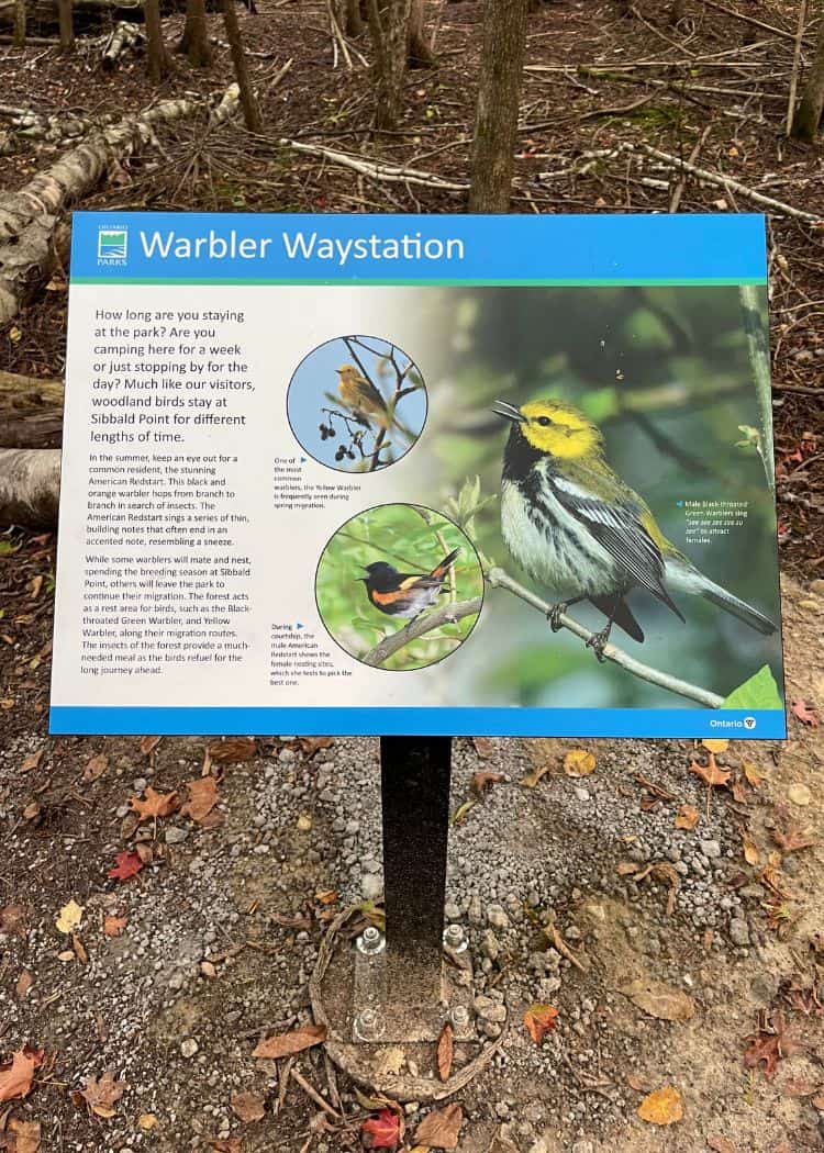 Sibbald Point Park - Birding sign along the hiking trail