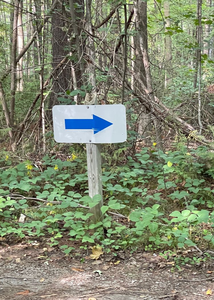 Sibbald Point Park - Directional sign in the park