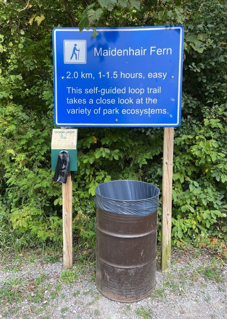 Sibbald Point Park - Maidenhair Fern Trailhead