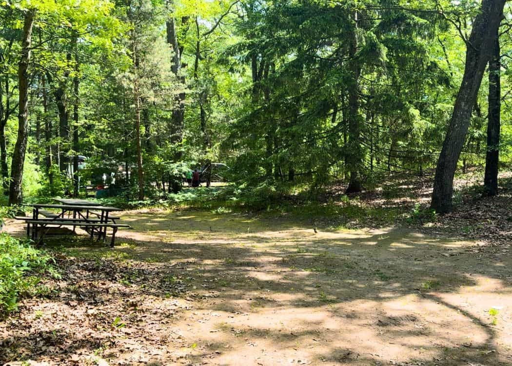 Turkey Point - Empty Campsite