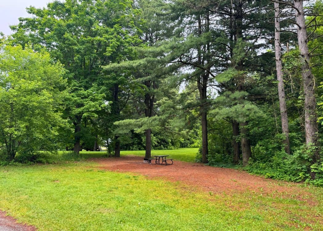 Earl Rowe - Empty Campsite in Riverside Campground
