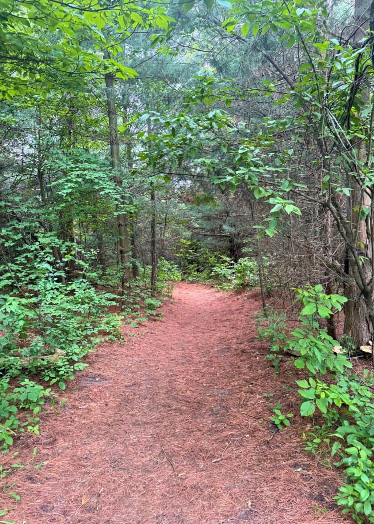 Earl Rowe - Groomed Hiking Trail