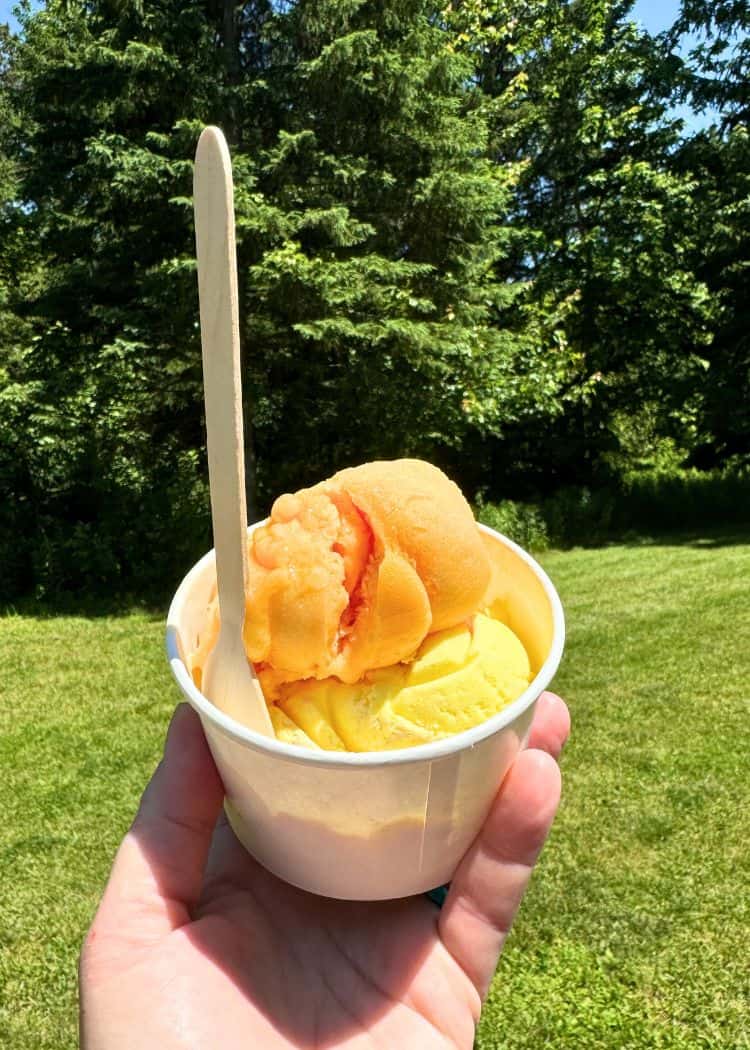 Emily Provincial Park - Ice Cream cup from the Park Store