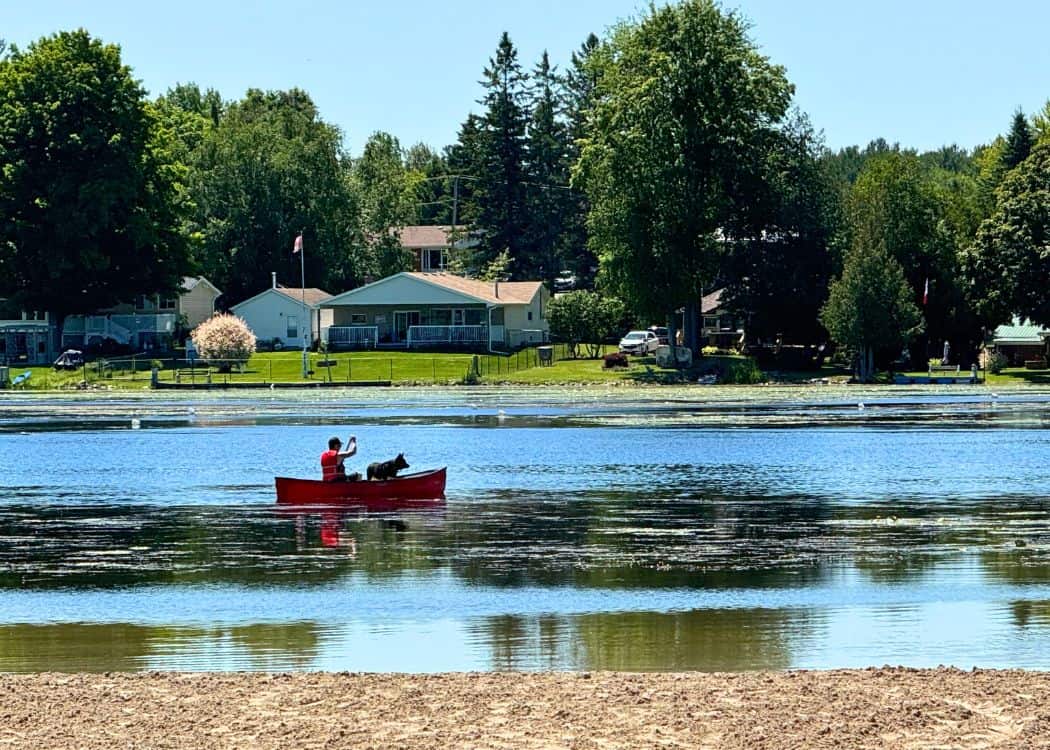 Emily Provincial Park - Man canoeing on river with dog