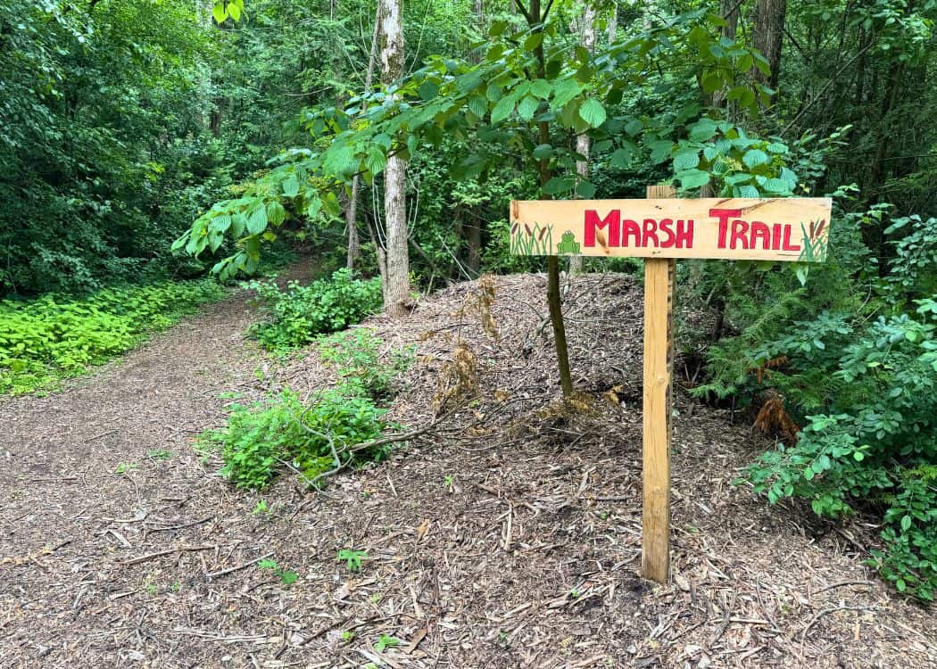 Emily Provincial Park - Marsh Trail Sign