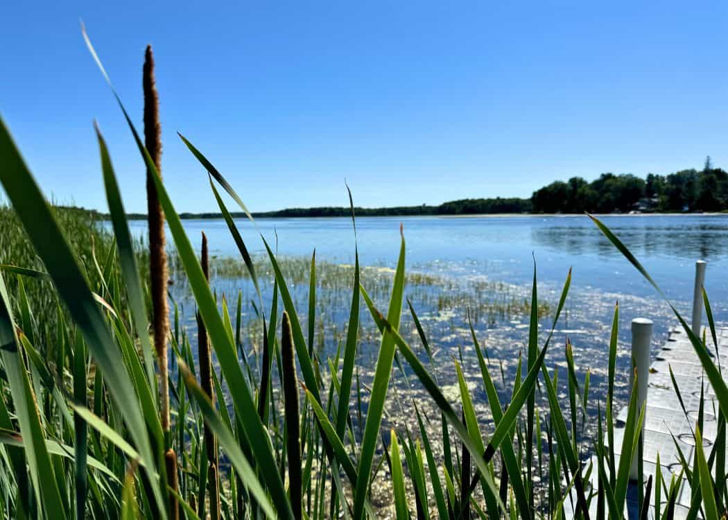 Emily Provincial Park - Marshy area next to beach