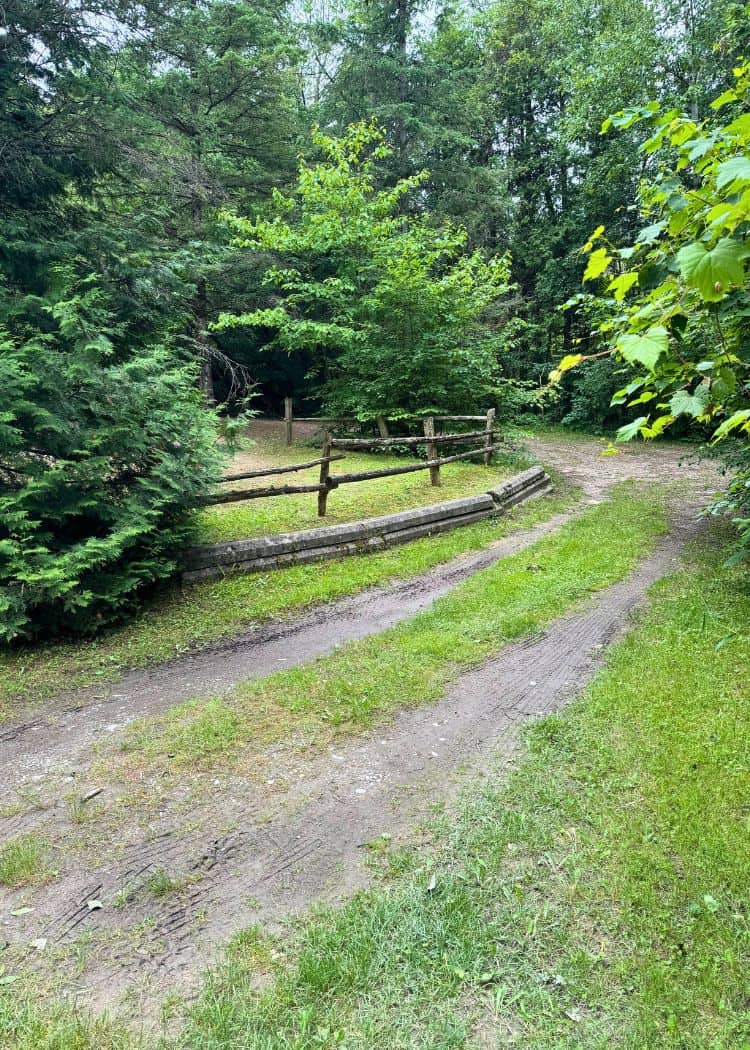 Emily Provincial Park - Odd Campsite Driveway