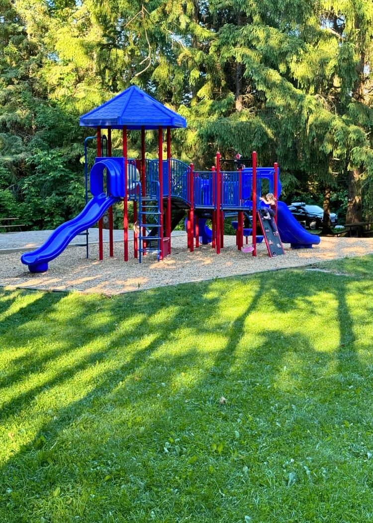 Emily Provincial Park - Playground at Hill Campground