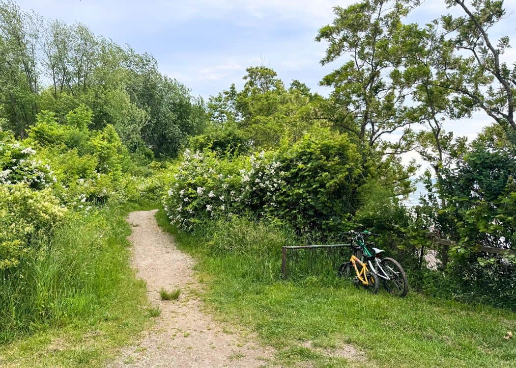 Rock Point - Bicycles near hiking trail