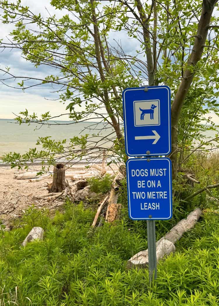 Rock Point - Dog Area Sign