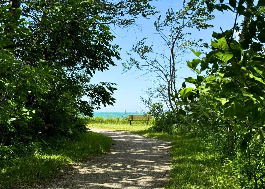 Rock Point - Woodlot Trail coming out at beach