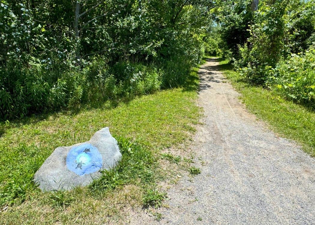 Rock Point - Woodlot Trail with painted rock