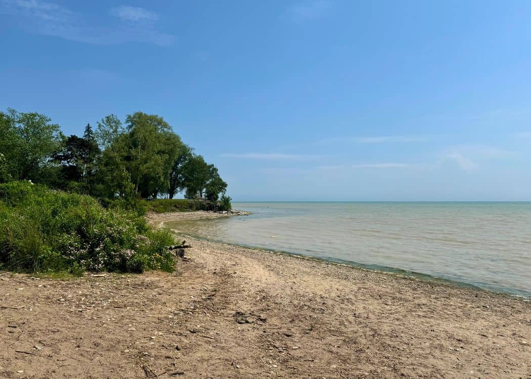 Selkirk Provincial Park - Beach Area 1