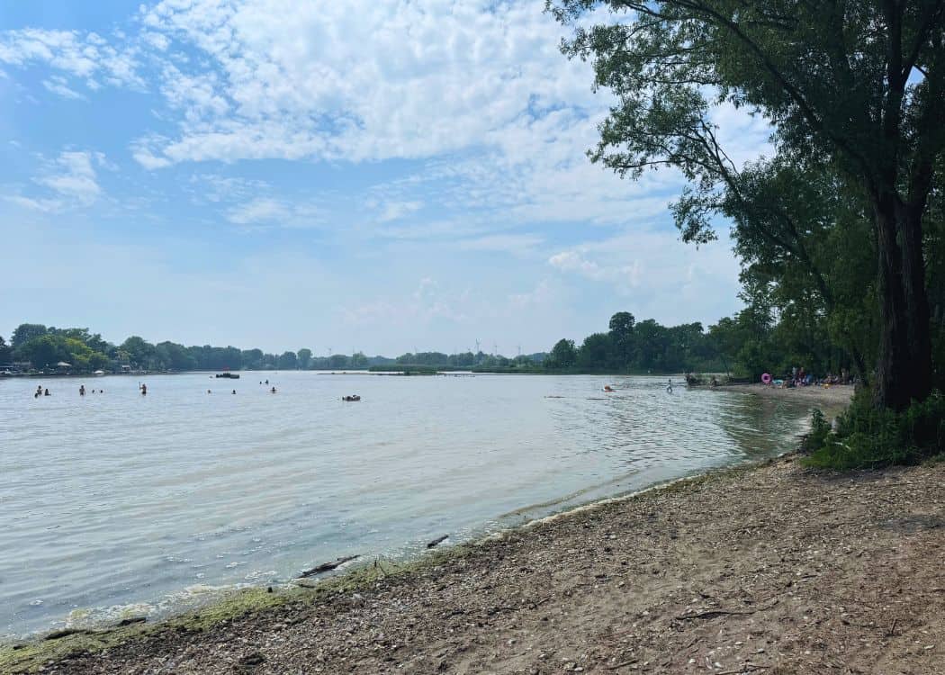 Selkirk Provincial Park - Beach Area 2
