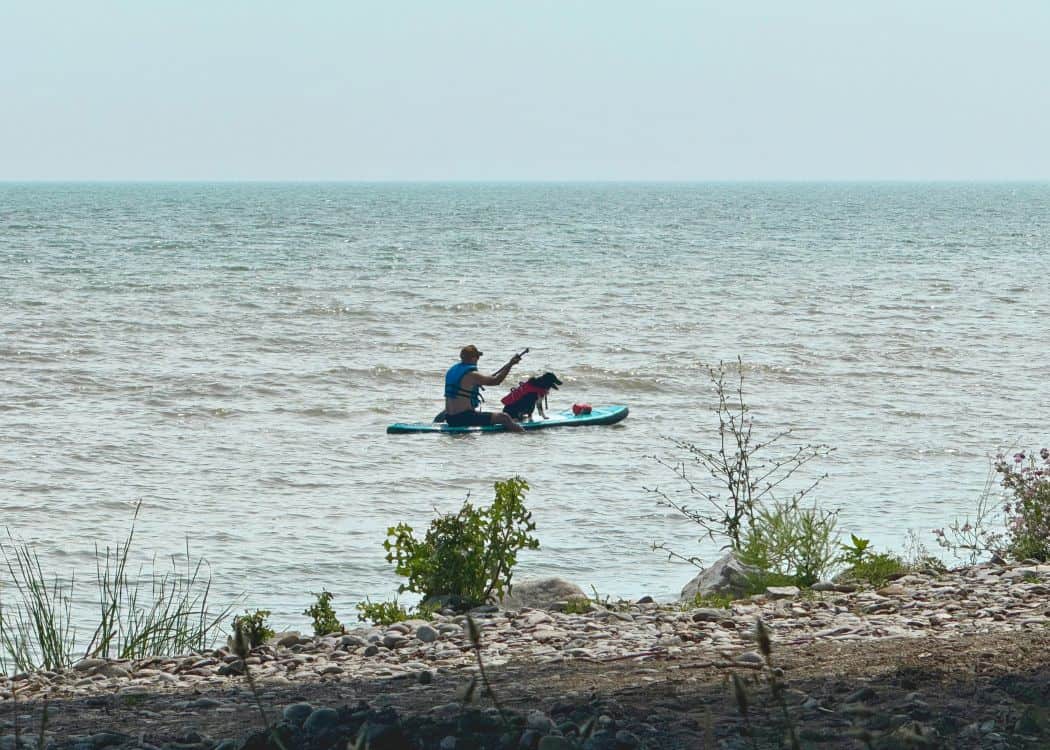 Selkirk Provincial Park - Man and Dog out on Paddleboard
