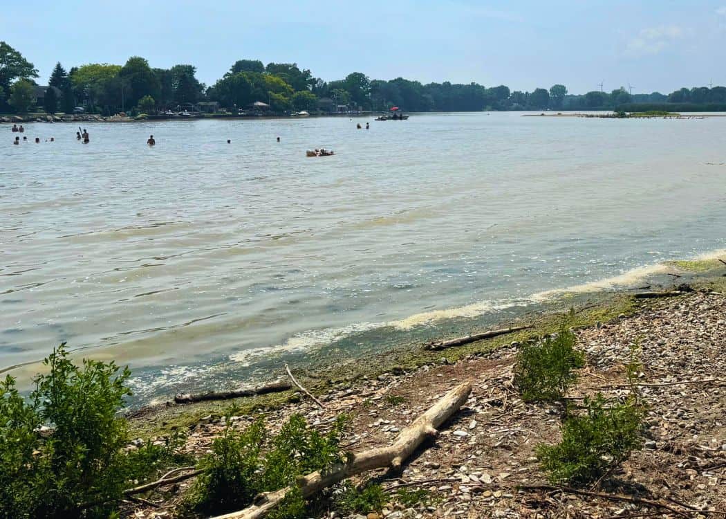 Selkirk Provincial Park - Scummy beach water
