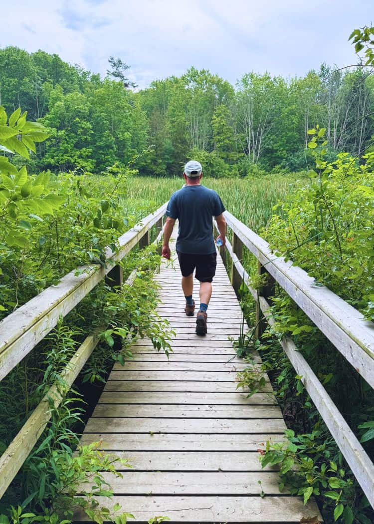 Selkirk Provincial Park - Wheelers Walk Boardwalk