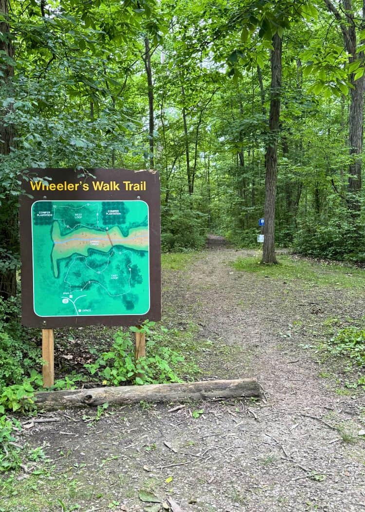Selkirk Provincial Park - Wheelers Walk Trailhead