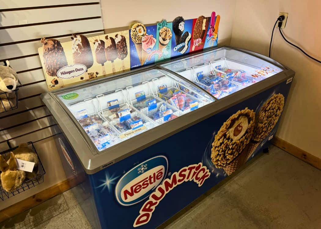 Bass Lake Provincial Park - Ice Cream Freezer in Park Store