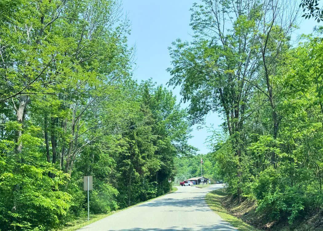 Bass Lake Provincial Park - Park road leading to gatehouse