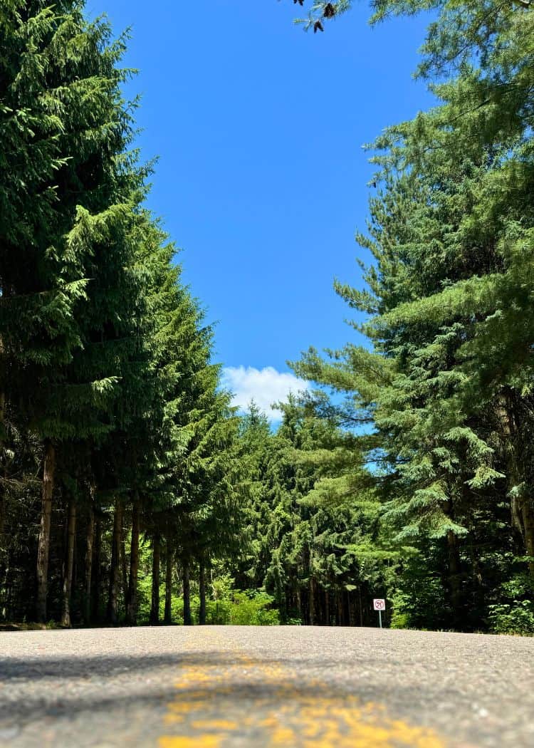 Bass Lake Provincial Park - Paved Roadway