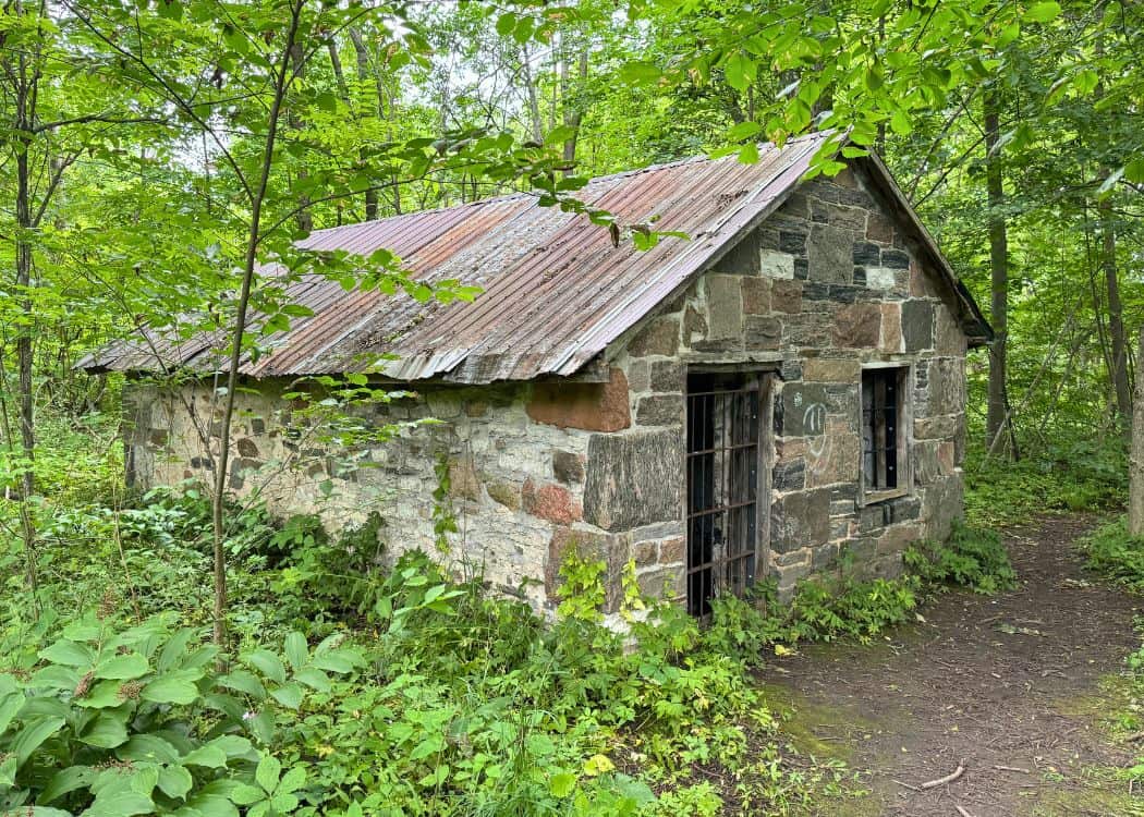Bass Lake Provincial Park - Rowe Homestead at marker 8