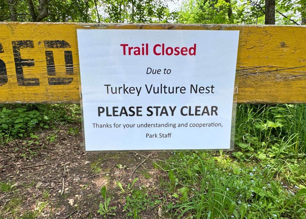 Bass Lake Provincial Park - Trail Closed sign