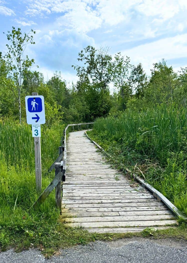 Bass Lake Provincial Park - Waterfront Trail Boardwalk at marker 3