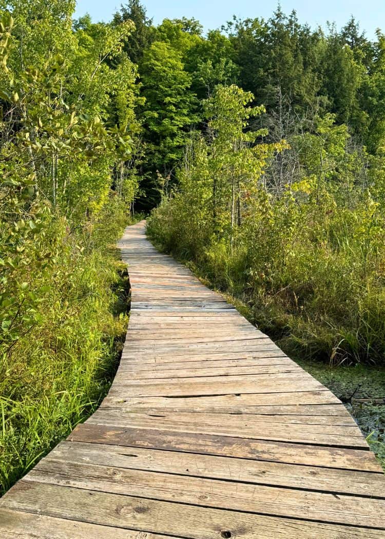Silver Lake Provincial Park - Marsh Trail Boardwalk