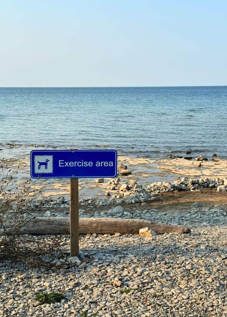 Craigleith Provincial Park - Dog Beach
