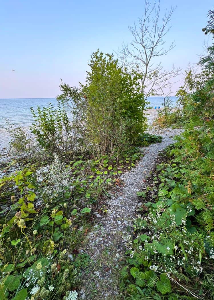 Craigleith Provincial Park - Footpath from our site to the water