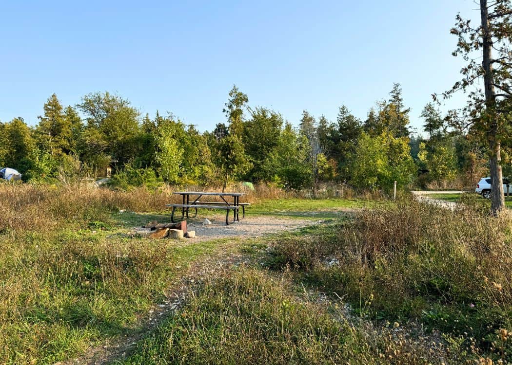 Craigleith Provincial Park - Tent site in area A