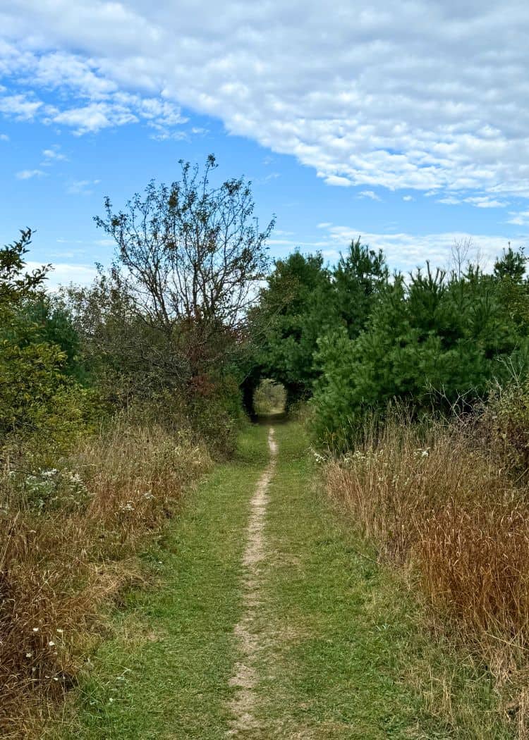 Point Farms Provincial Park - Hiking Trail