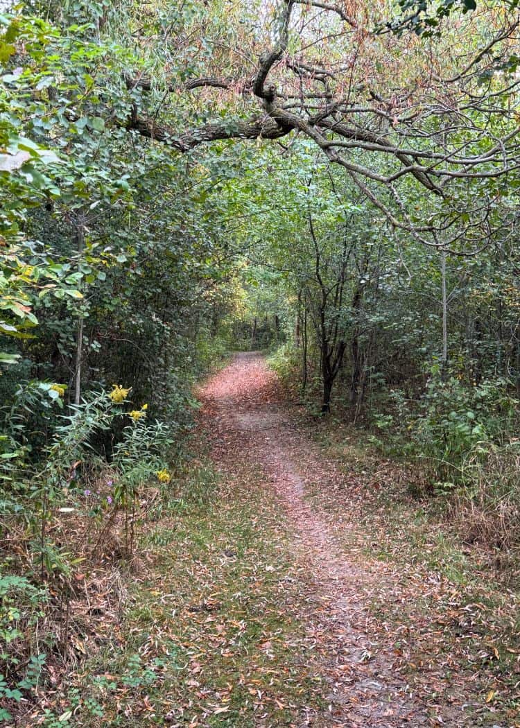 Point Farms Provincial Park - Tommy Wright Trail