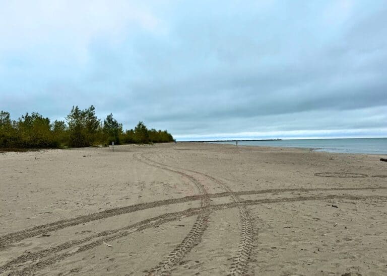 Port Burwell Provincial Park Review & Campground Guide