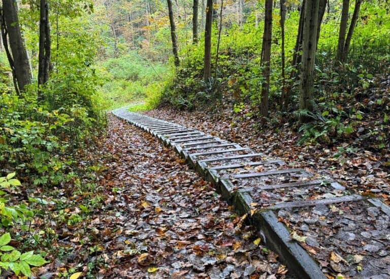 Port Burwell Provincial Park - Stairway on Ravine Trail
