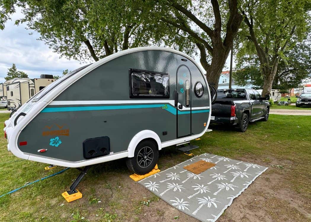 Victoria Park Campground - Nellie at our campsite facing roadway