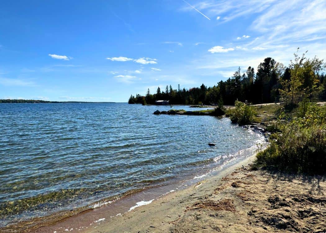 Balsam Lake Provincial Park - Beach showing points