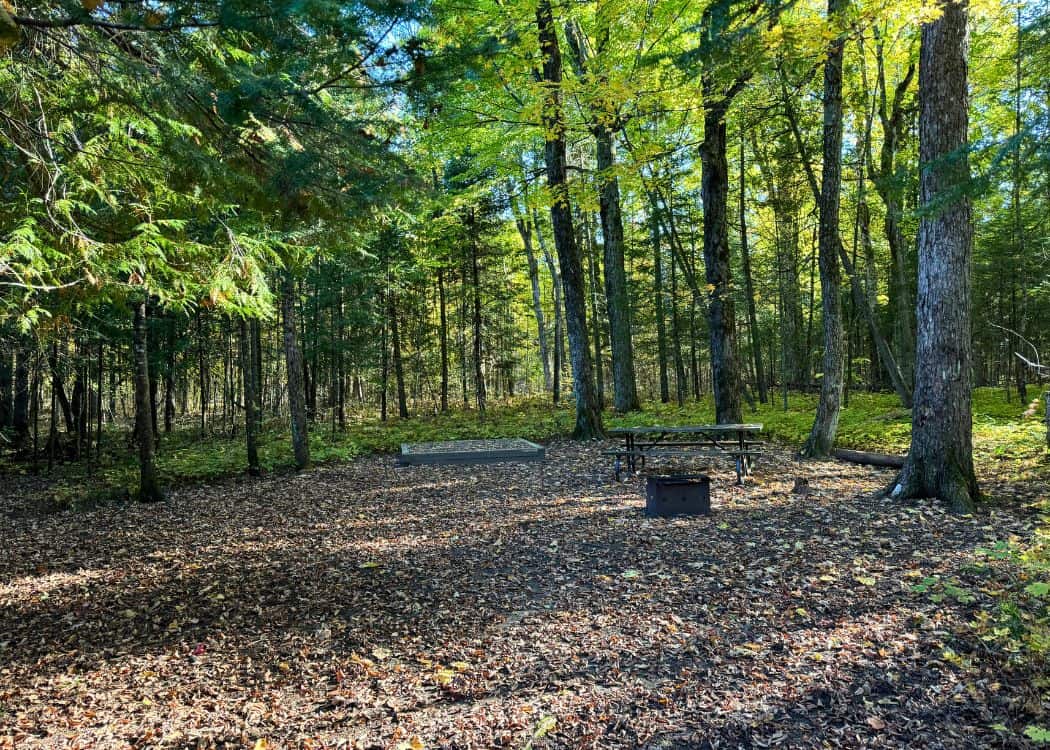Balsam Lake Provincial Park - Eco Walk-in Site