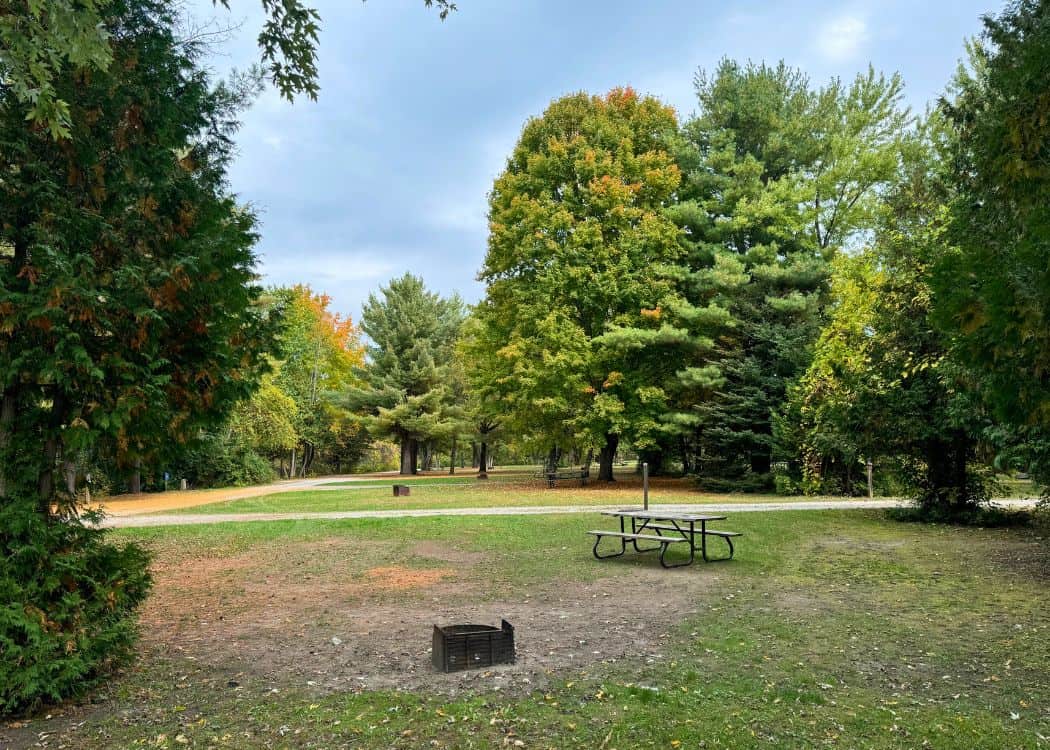 Balsam Lake Provincial Park - Elm Campground
