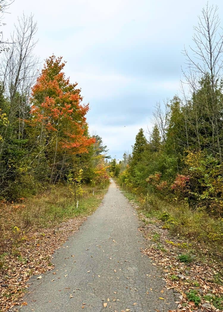 Balsam Lake Provincial Park - Legacy Trail in fall