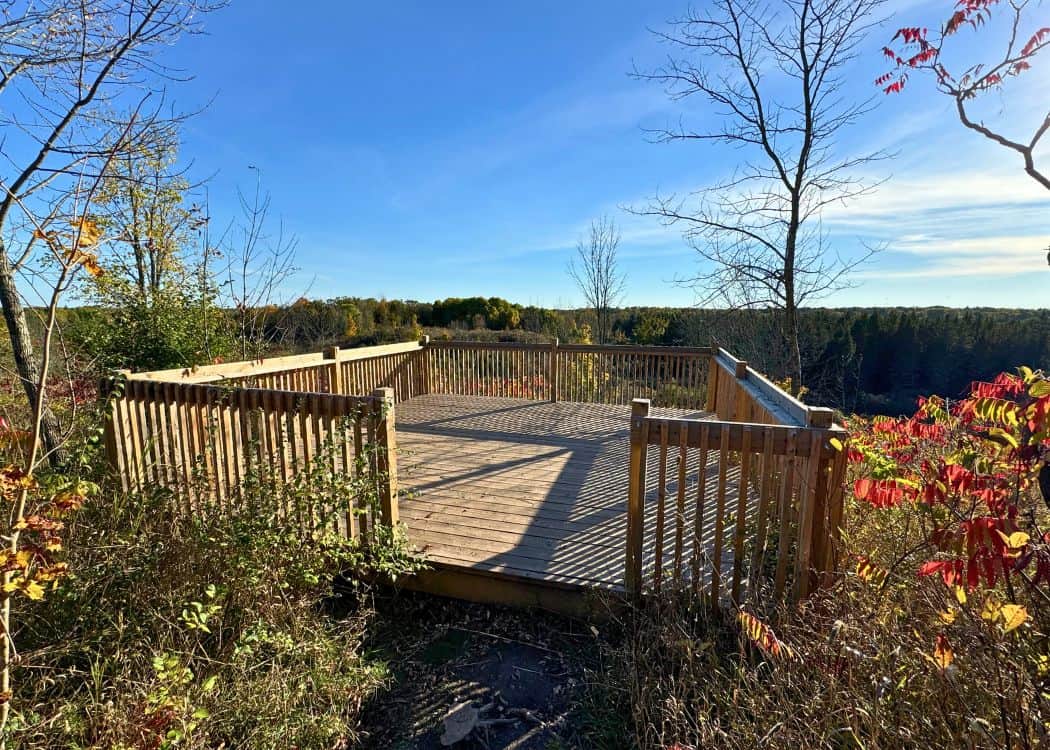 Balsam Lake Provincial Park - Observation Deck on the Lookout Trail