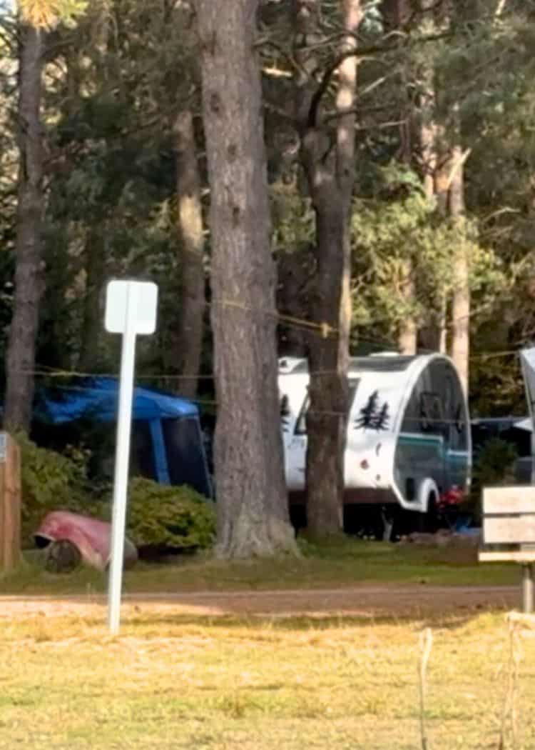 Algonquin Rock Lake Campground - Neighbours too close to Nellie