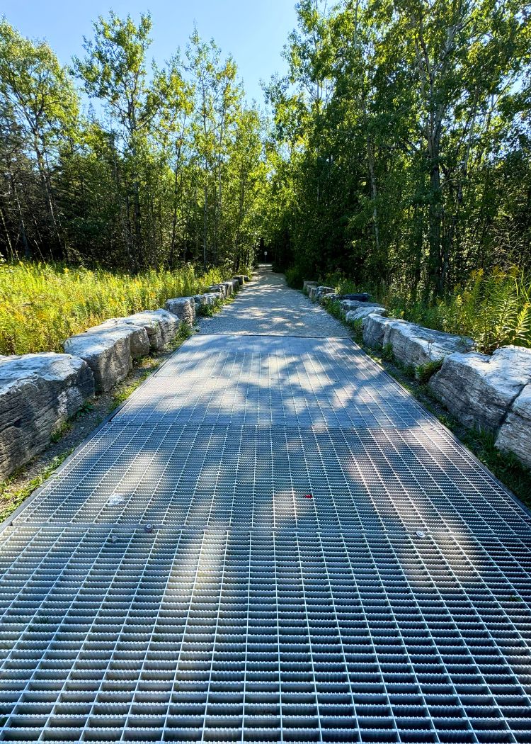 Bruce Peninsula National Park - Grate at Head of trails to remove invasive plants from visitors shoes
