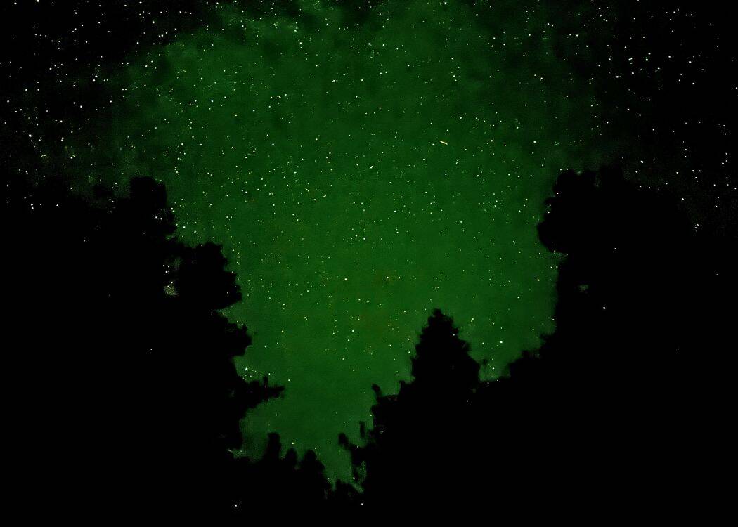 Bruce Peninsula National Park - Starry Night Sky with trees as border