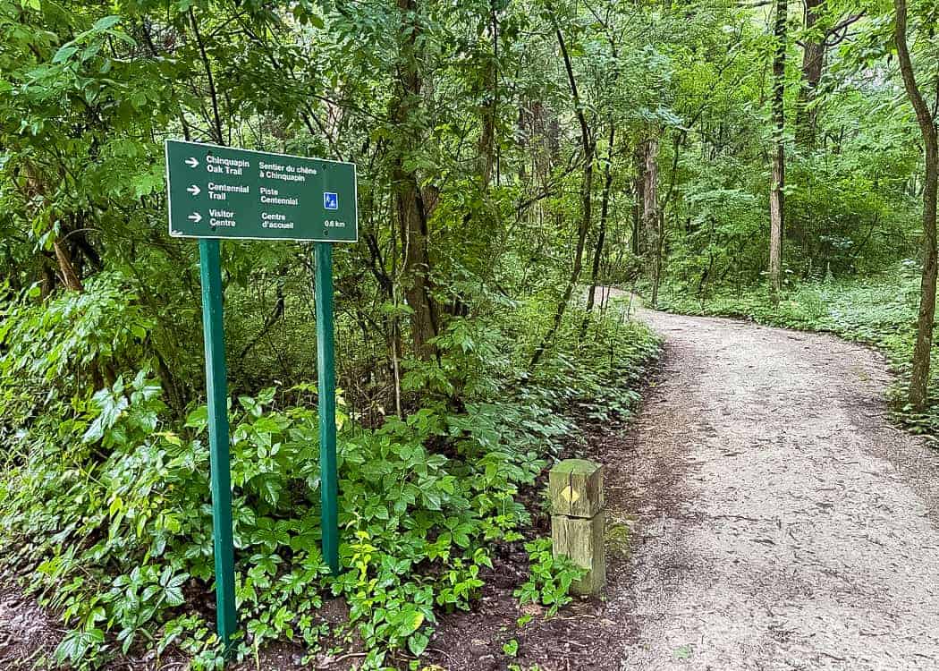 Point-Pelee-Camping-Trails-next-to-campground